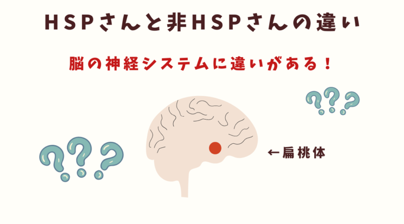 HSP,繊細さんと非繊細さんとの違い,扁桃体の働き,ぽつぶ
